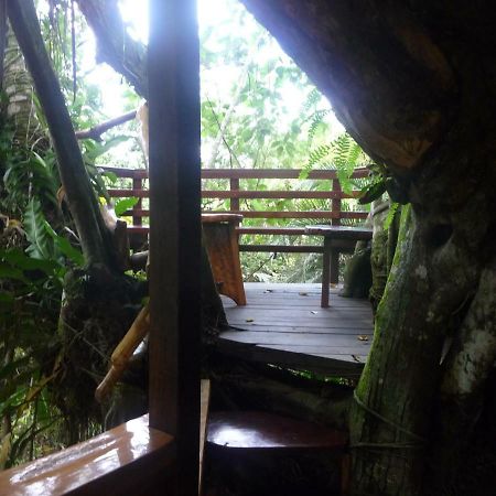 Topos Tree House Cahuita Exterior photo
