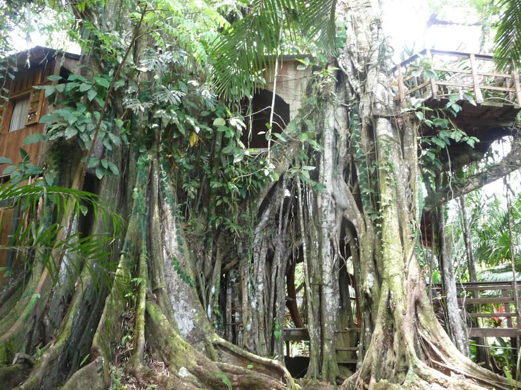 Topos Tree House Cahuita Exterior photo
