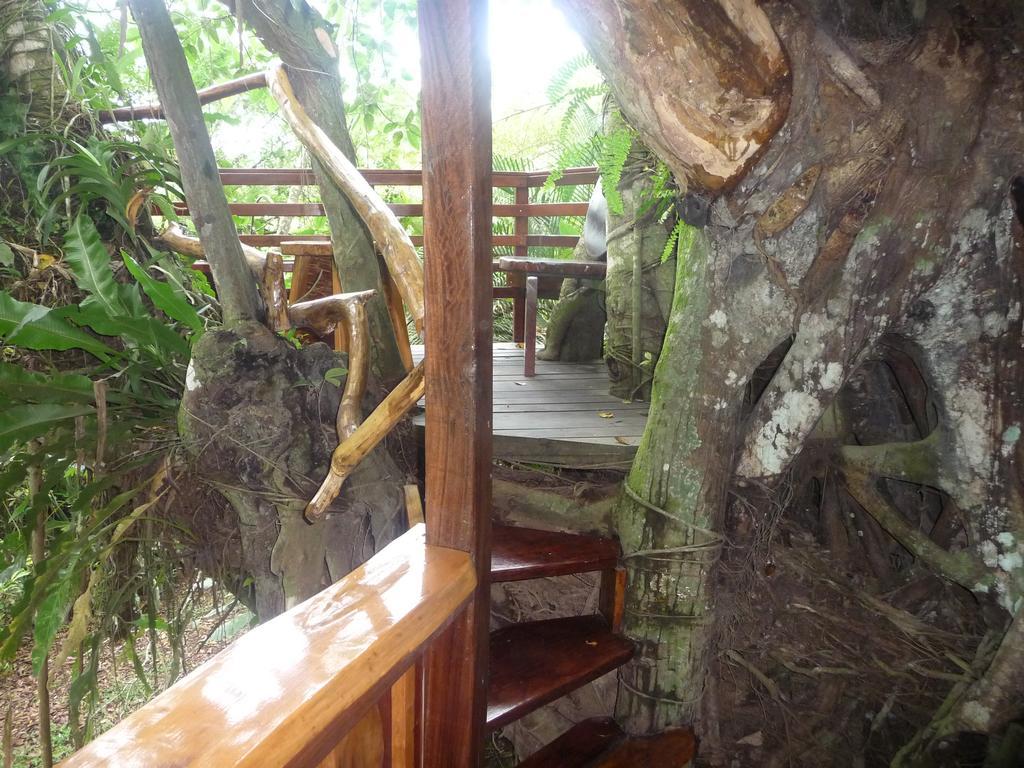 Topos Tree House Cahuita Exterior photo