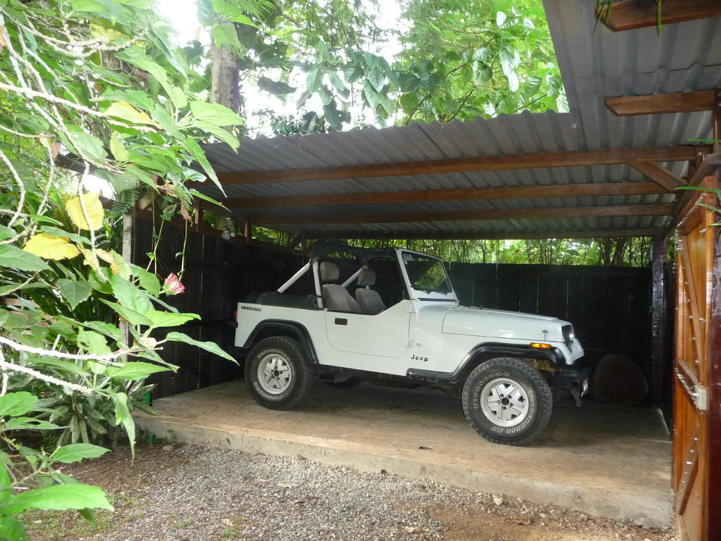 Topos Tree House Cahuita Exterior photo