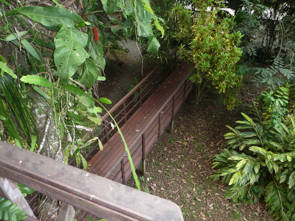 Topos Tree House Cahuita Exterior photo