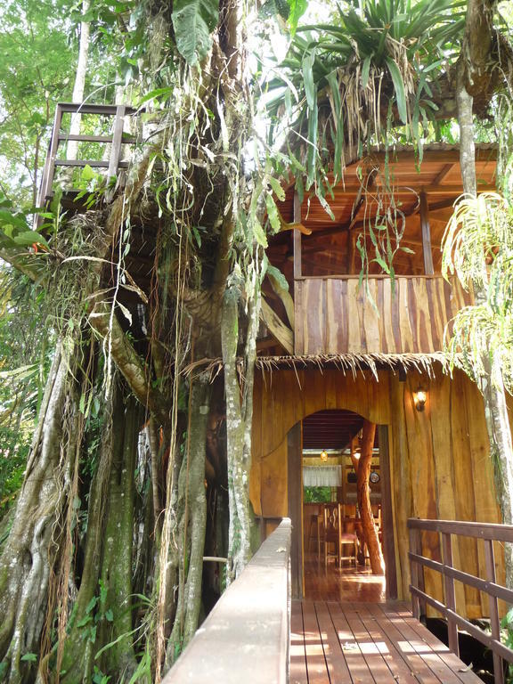 Topos Tree House Cahuita Room photo
