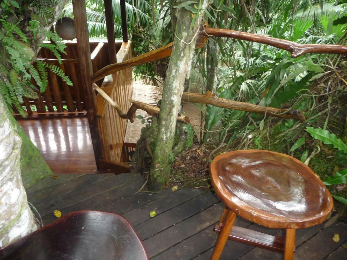 Topos Tree House Cahuita Exterior photo
